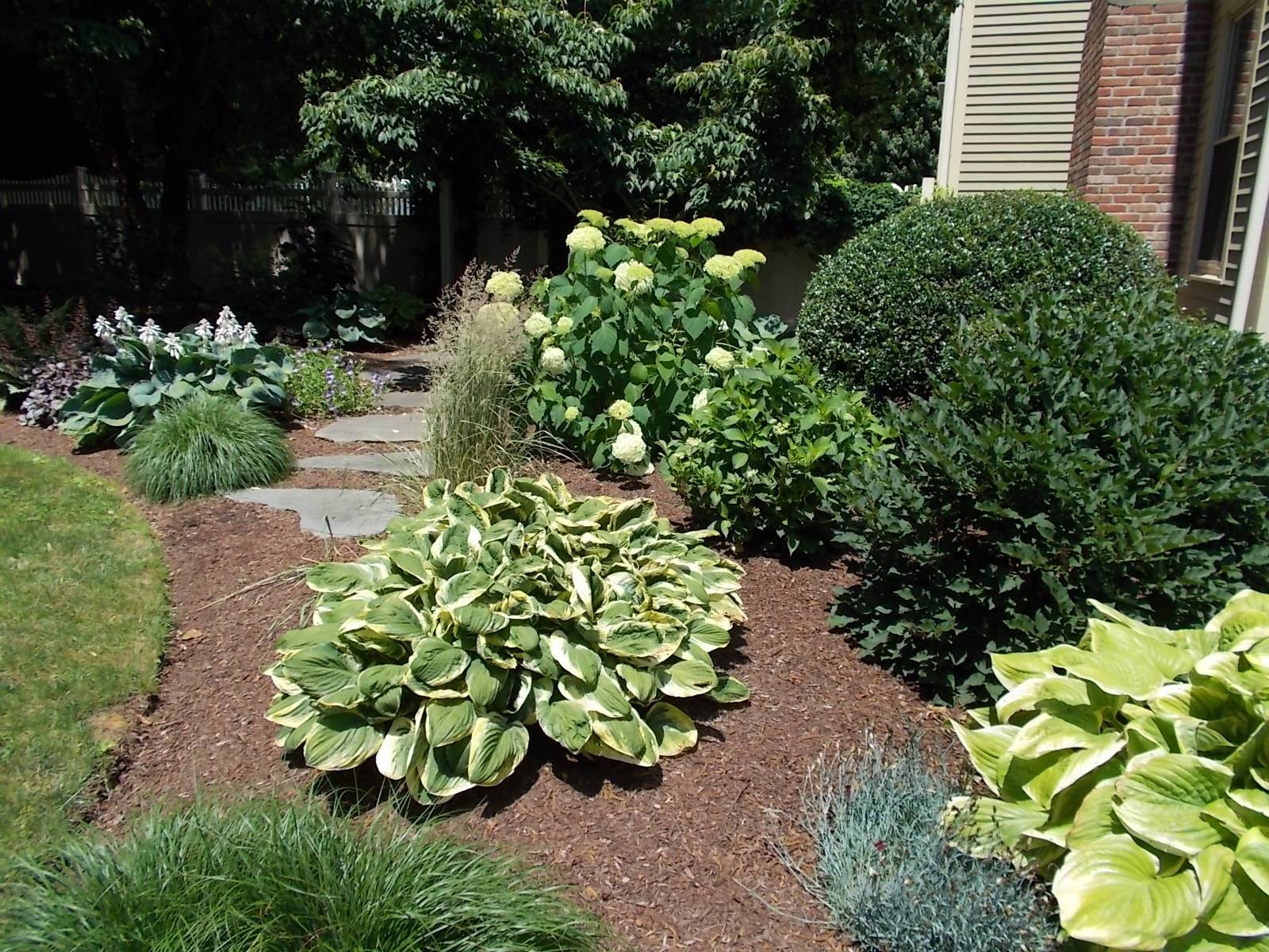 Small Cottage Garden Ideas