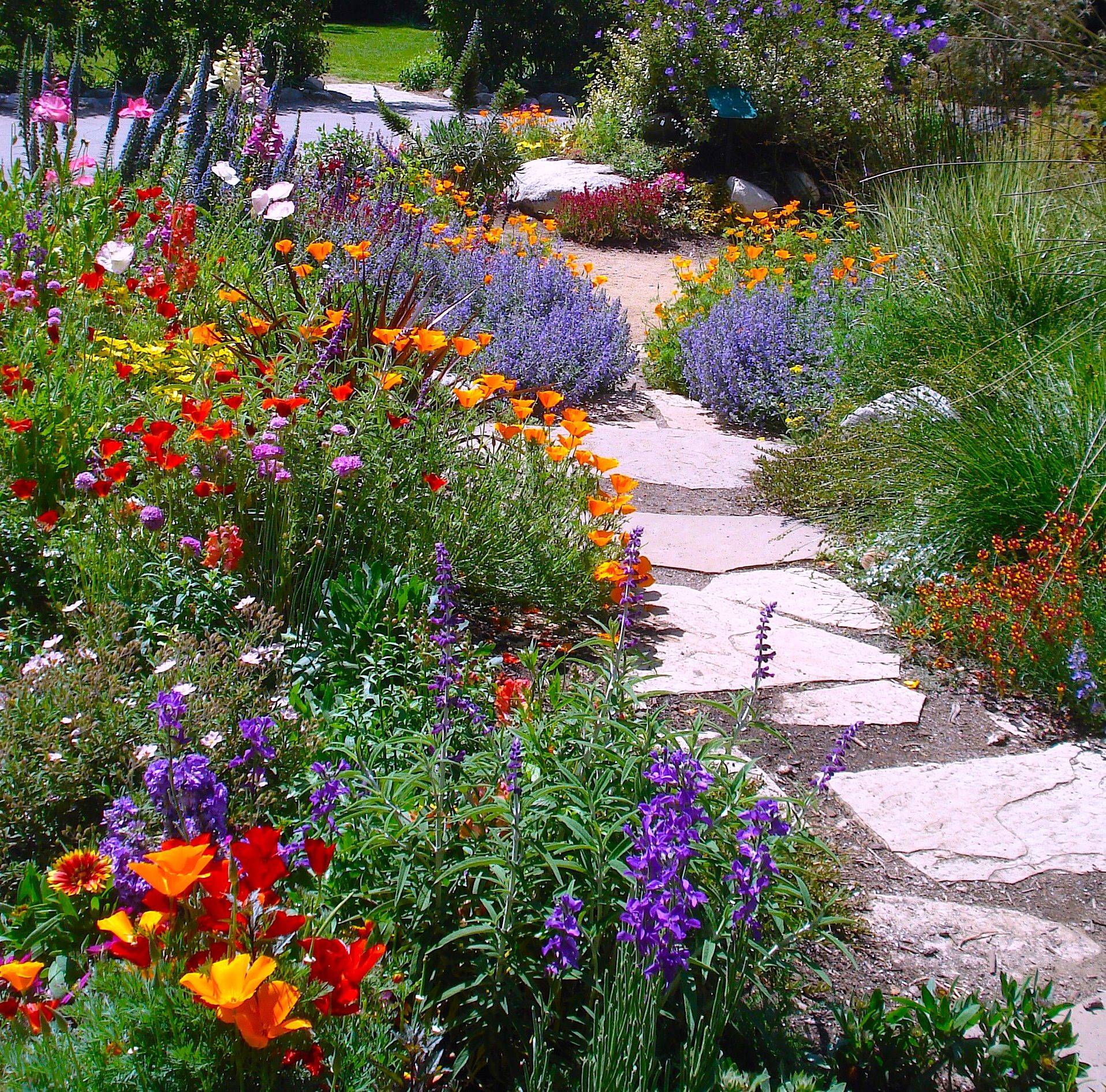 Beautiful Backyards Beautiful Backyards Backyard Landscaping