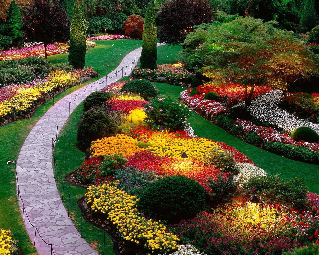 Beautiful Small Cottage Flowers Garden