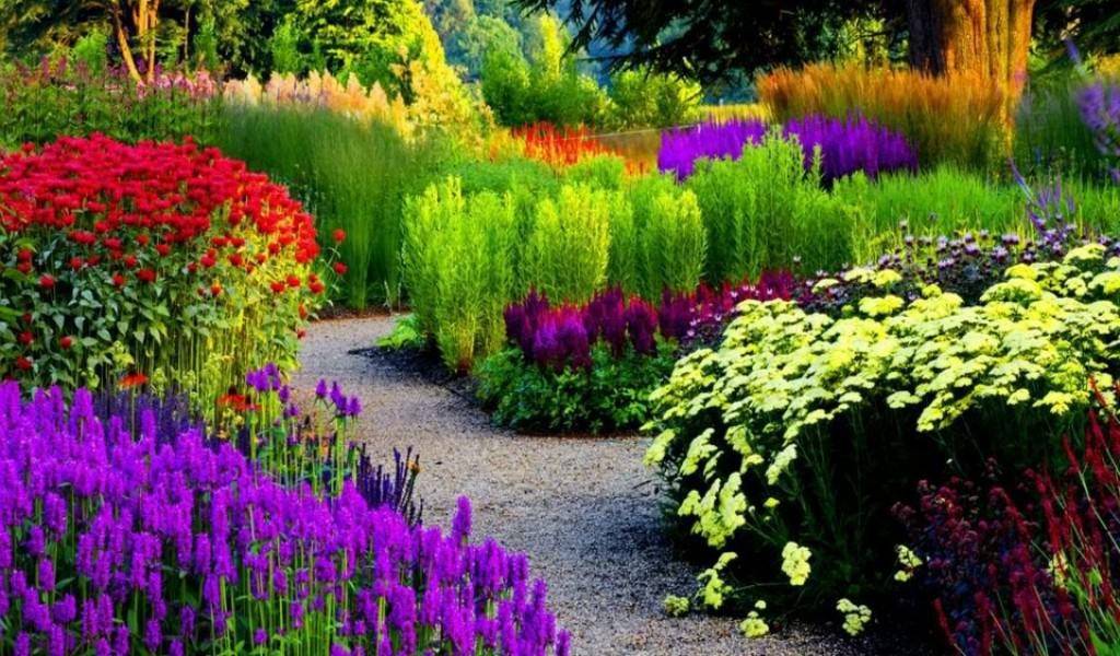 The Most Beautifully Designed Flower Gardens