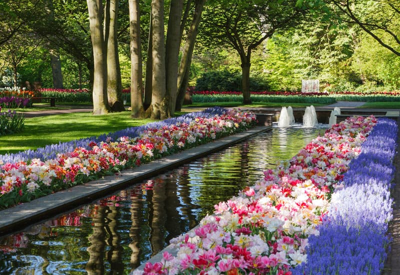 The Worlds Largest Flower Garden