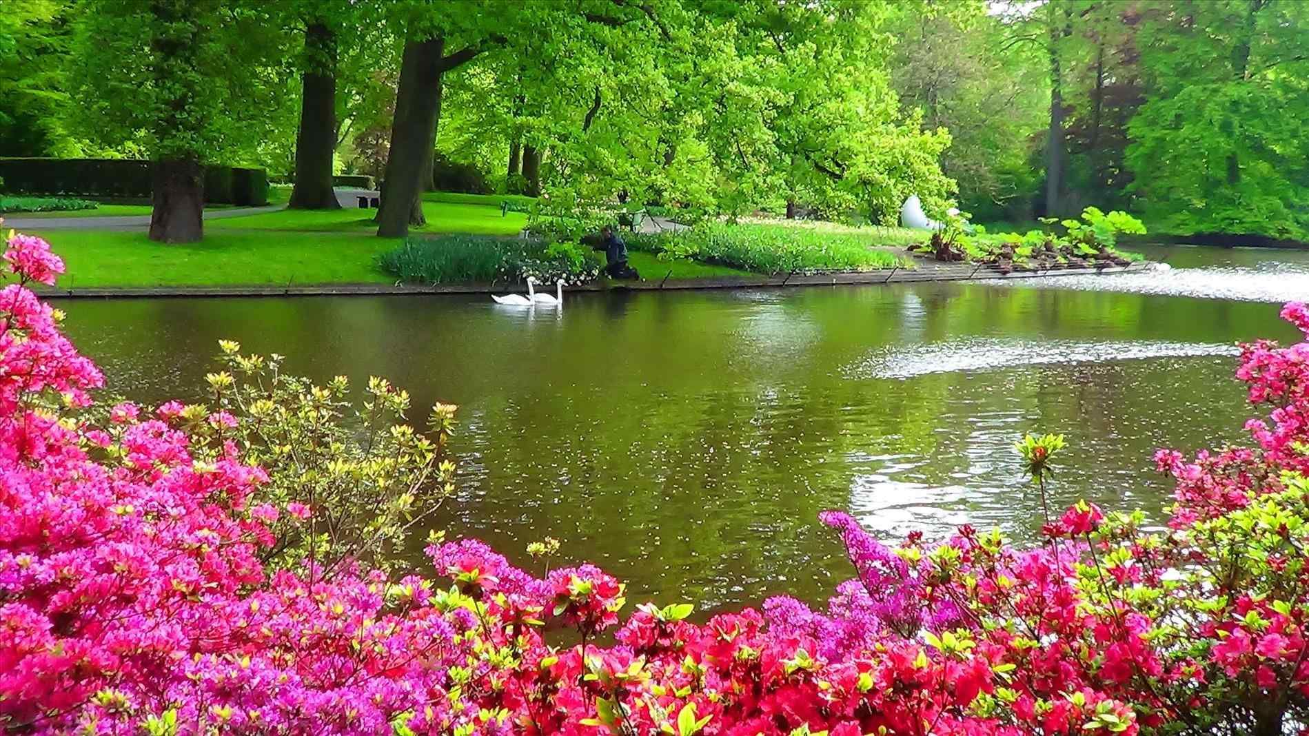 The Worlds Largest Flower Garden