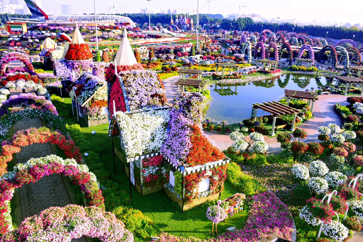 Beautiful Flower Garden