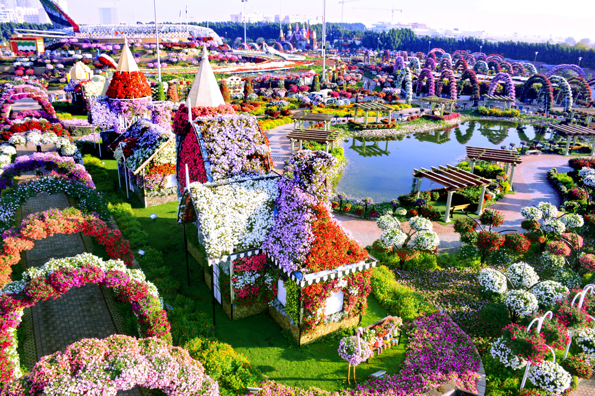 Beautiful Flower Garden