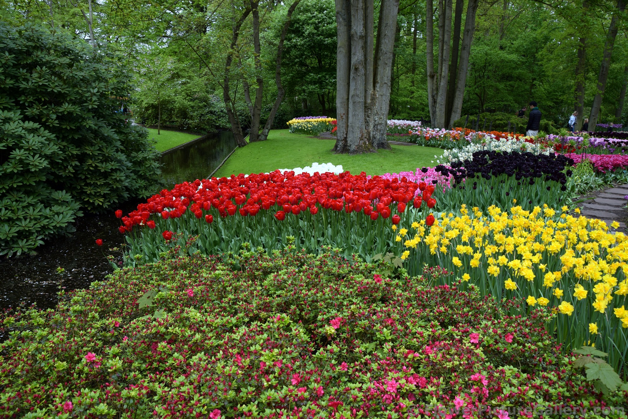 Beautiful Flower Garden