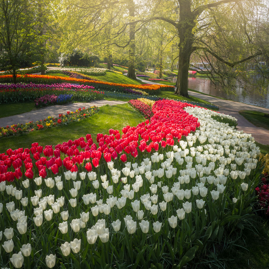 Top Most Beautiful Gardens