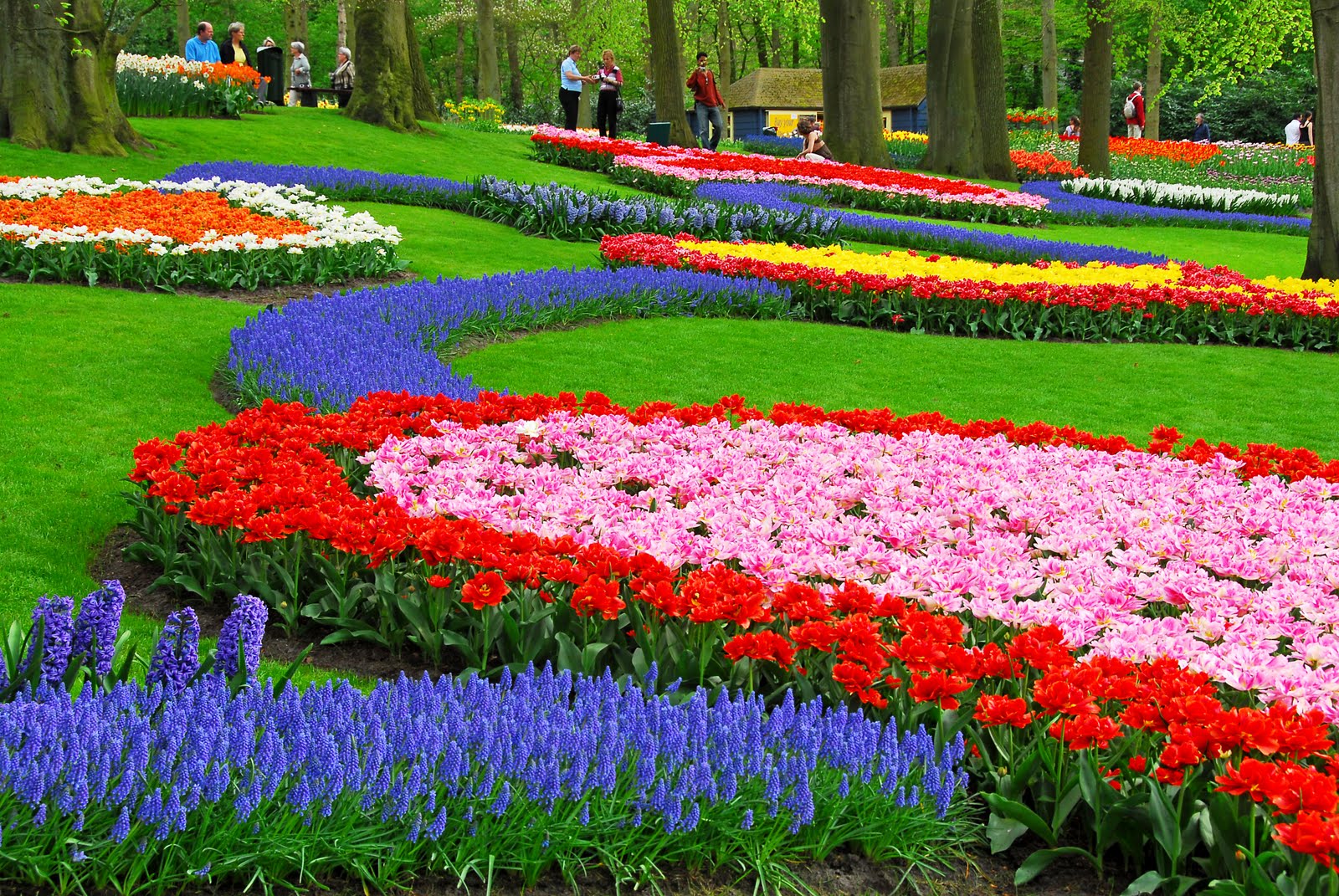 Top Most Beautiful Gardens