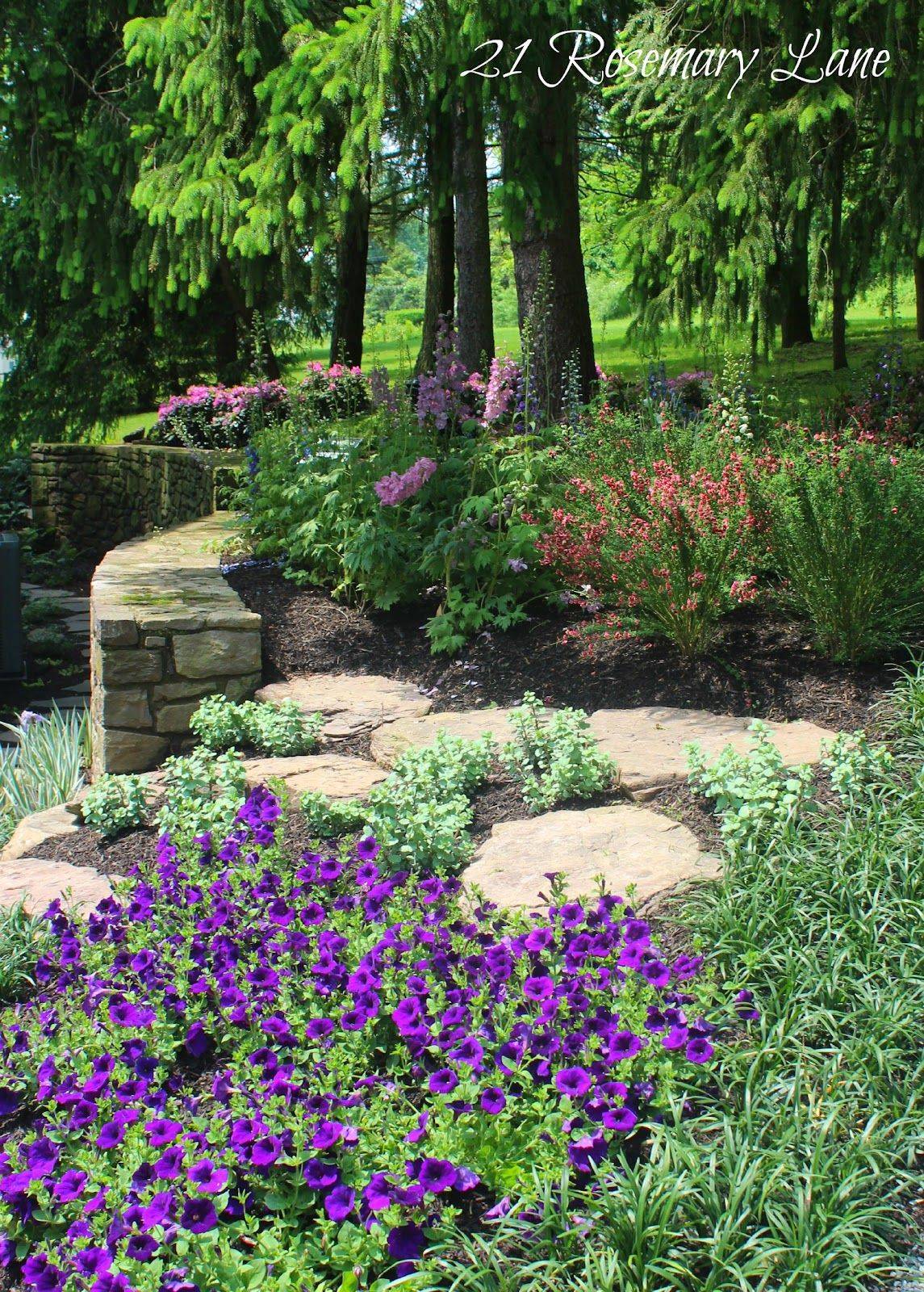 Farmhouse Garden Flowers