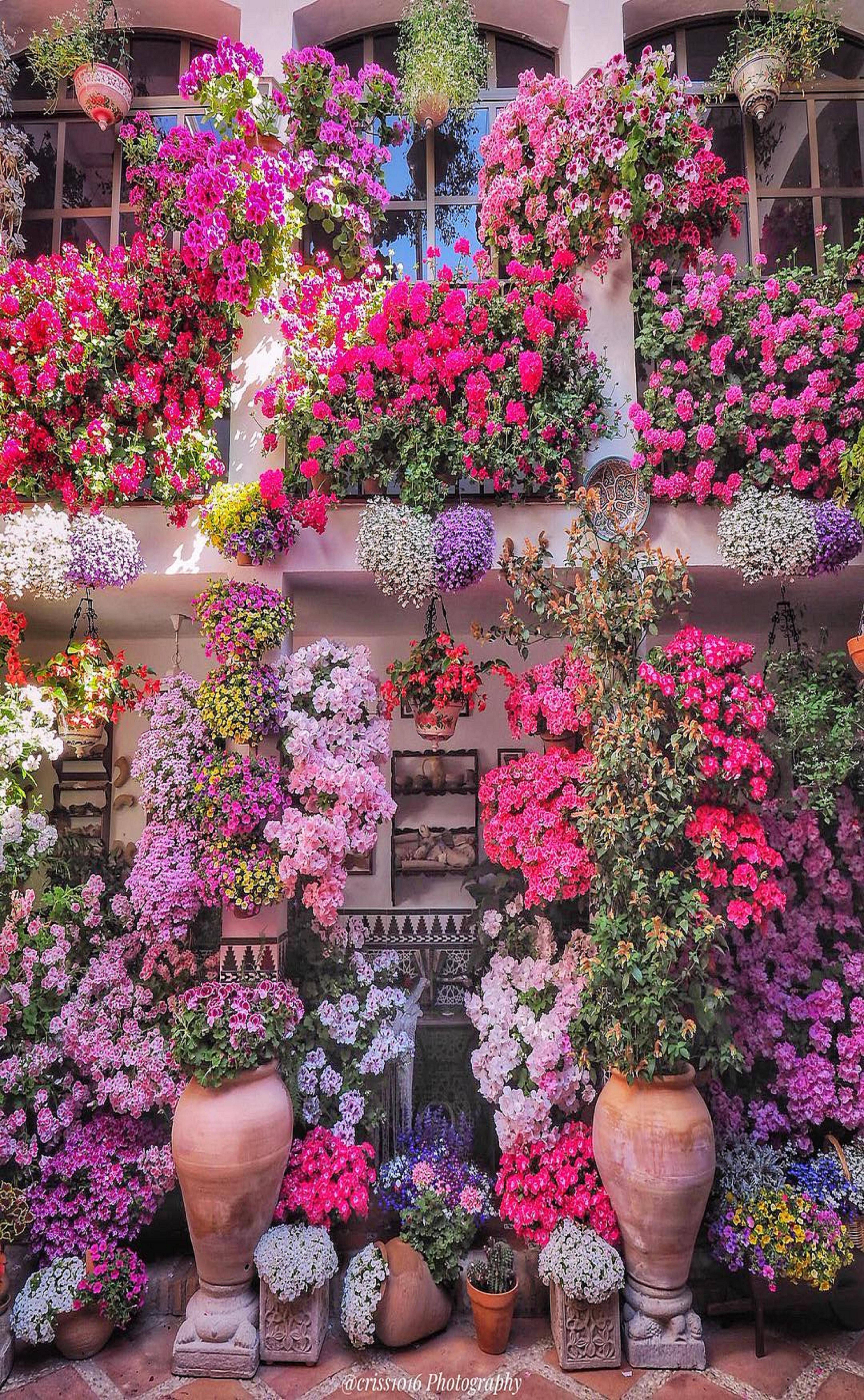 A Farm Garden