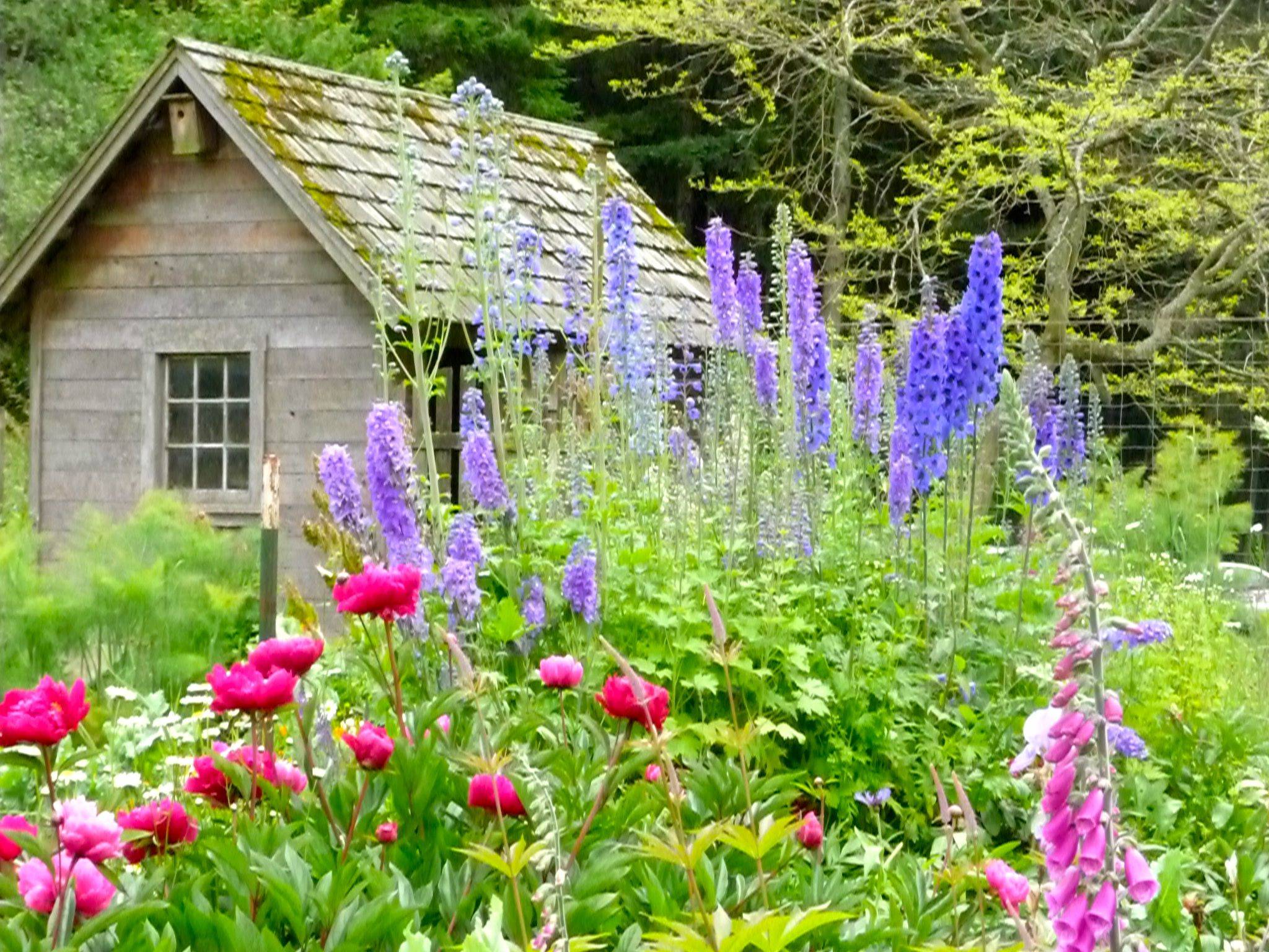 Garden Wagon