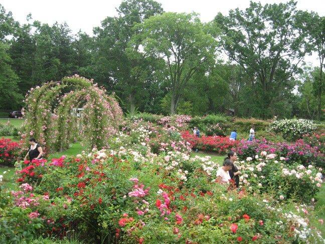 Elizabeth Park Rose Garden Address Ct Unconventional But Totally