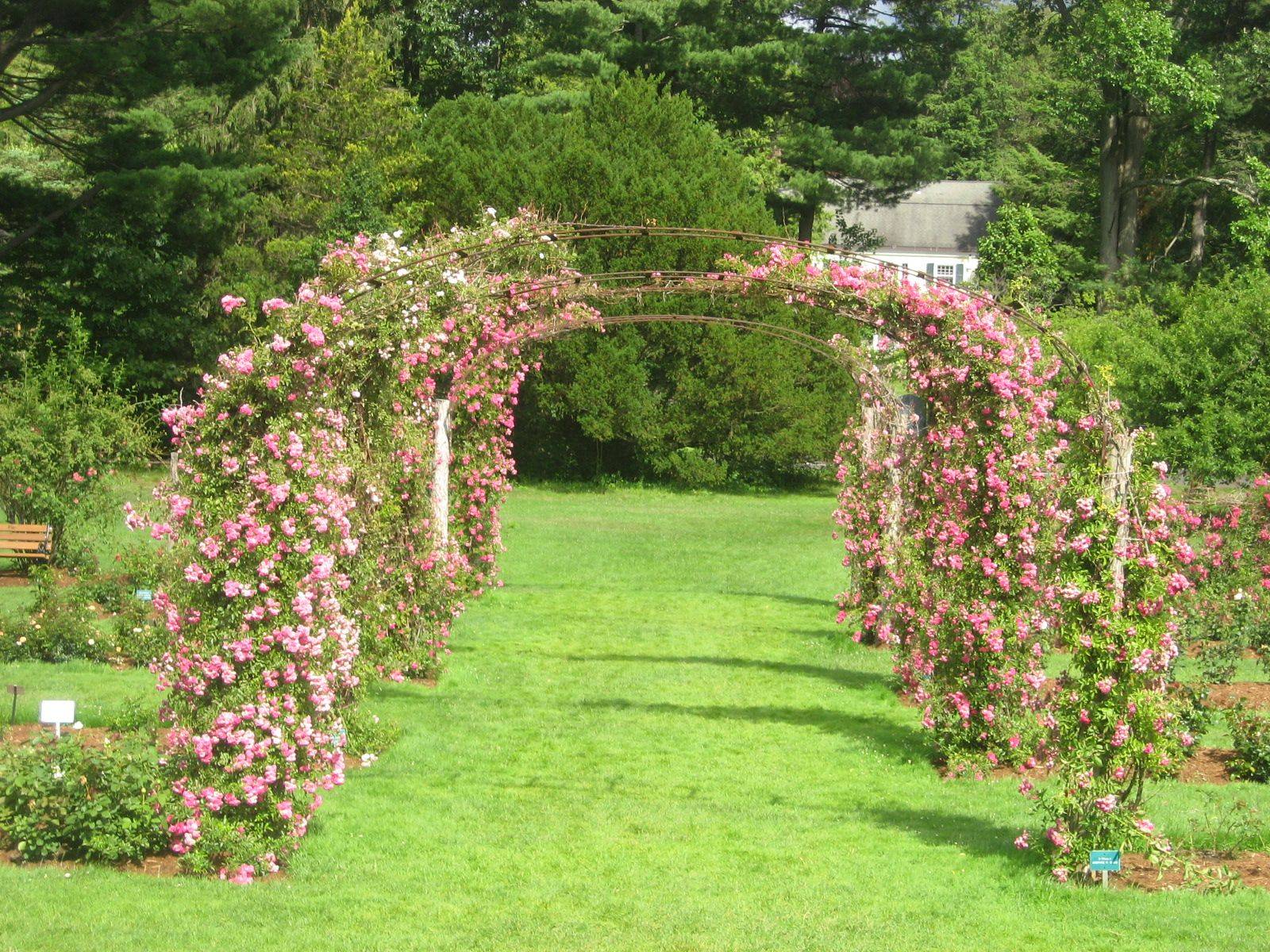 Hartford Wedding Ideas