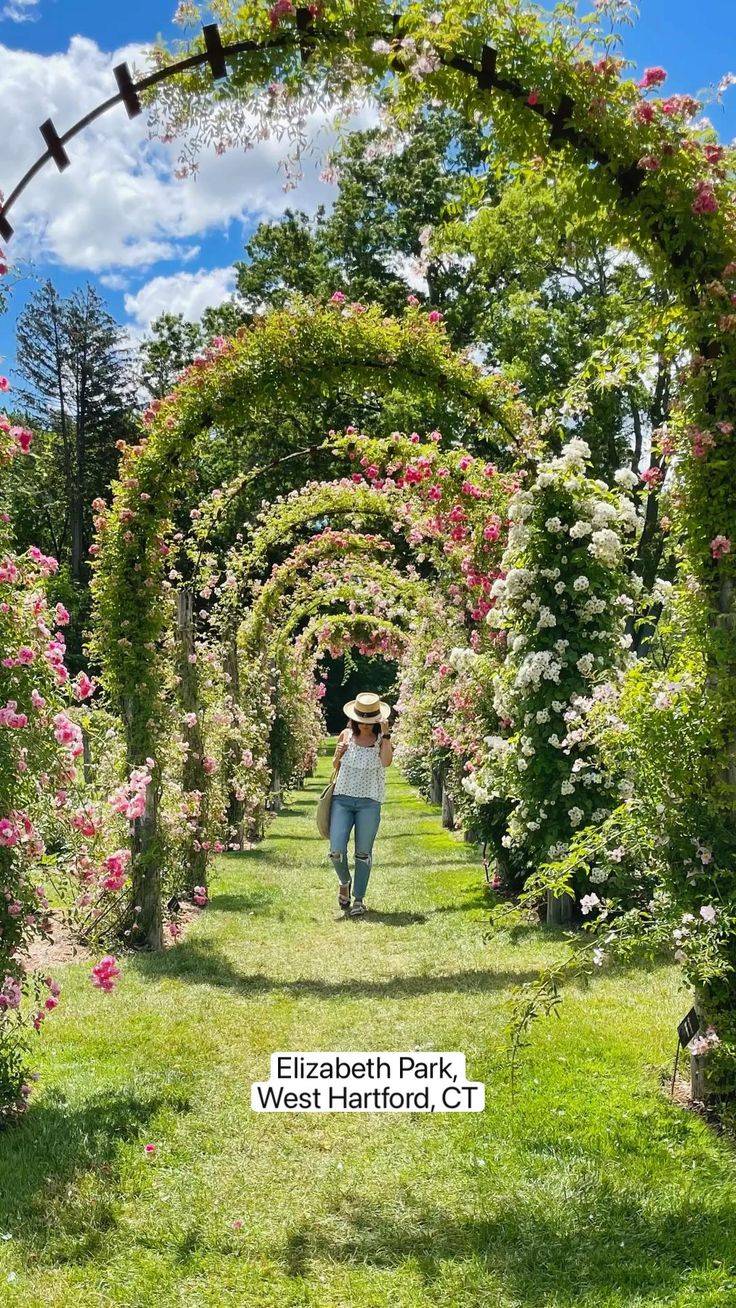 Hartford Wedding Ideas