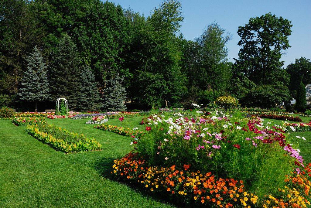 Elizabeth Rose Garden