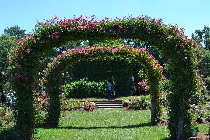 Elizabeth Park Hartford