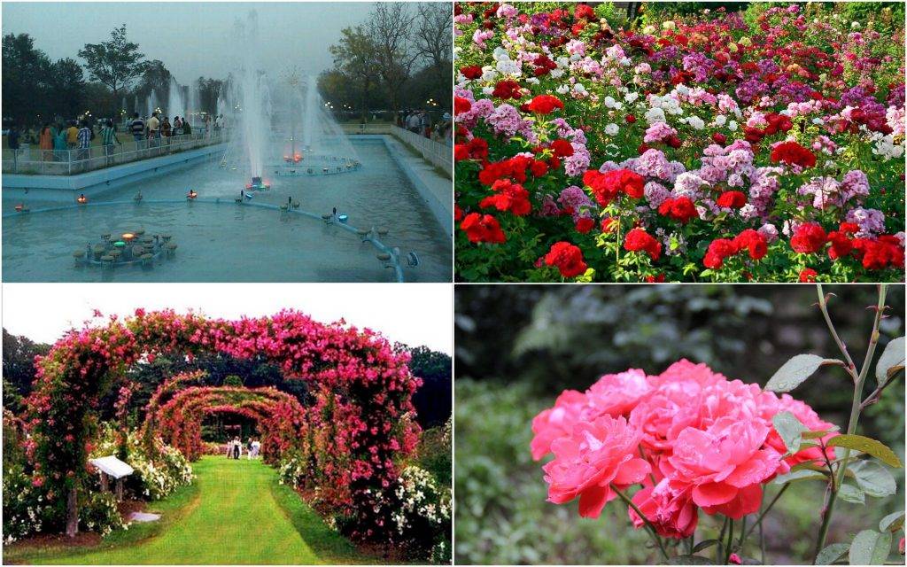 Tour And Travel In Chandigarh Holidays Destinations