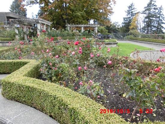 Foodtipsforbodybuilding Rose Garden Portland