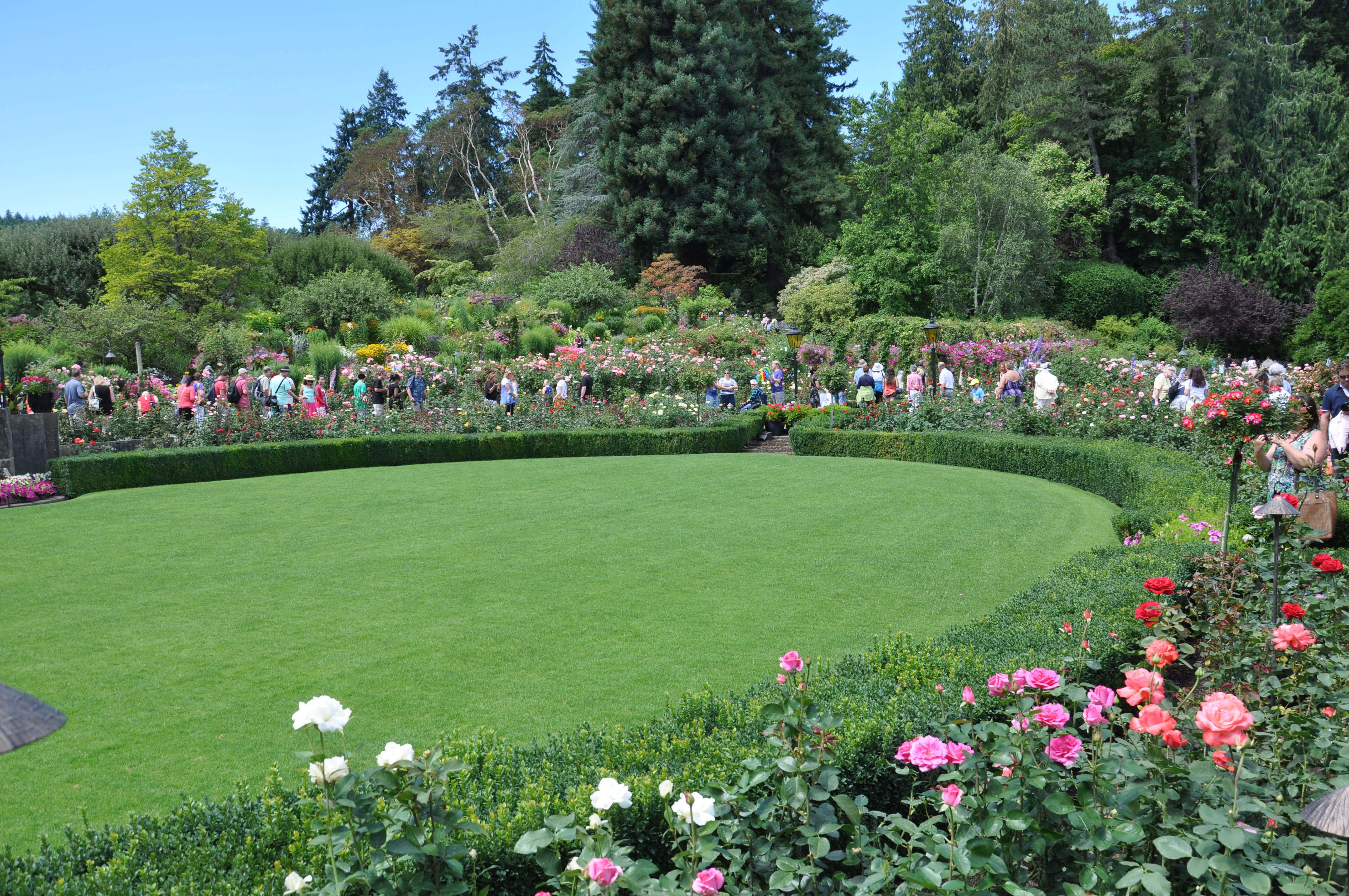Formal Rose Garden Arch Van