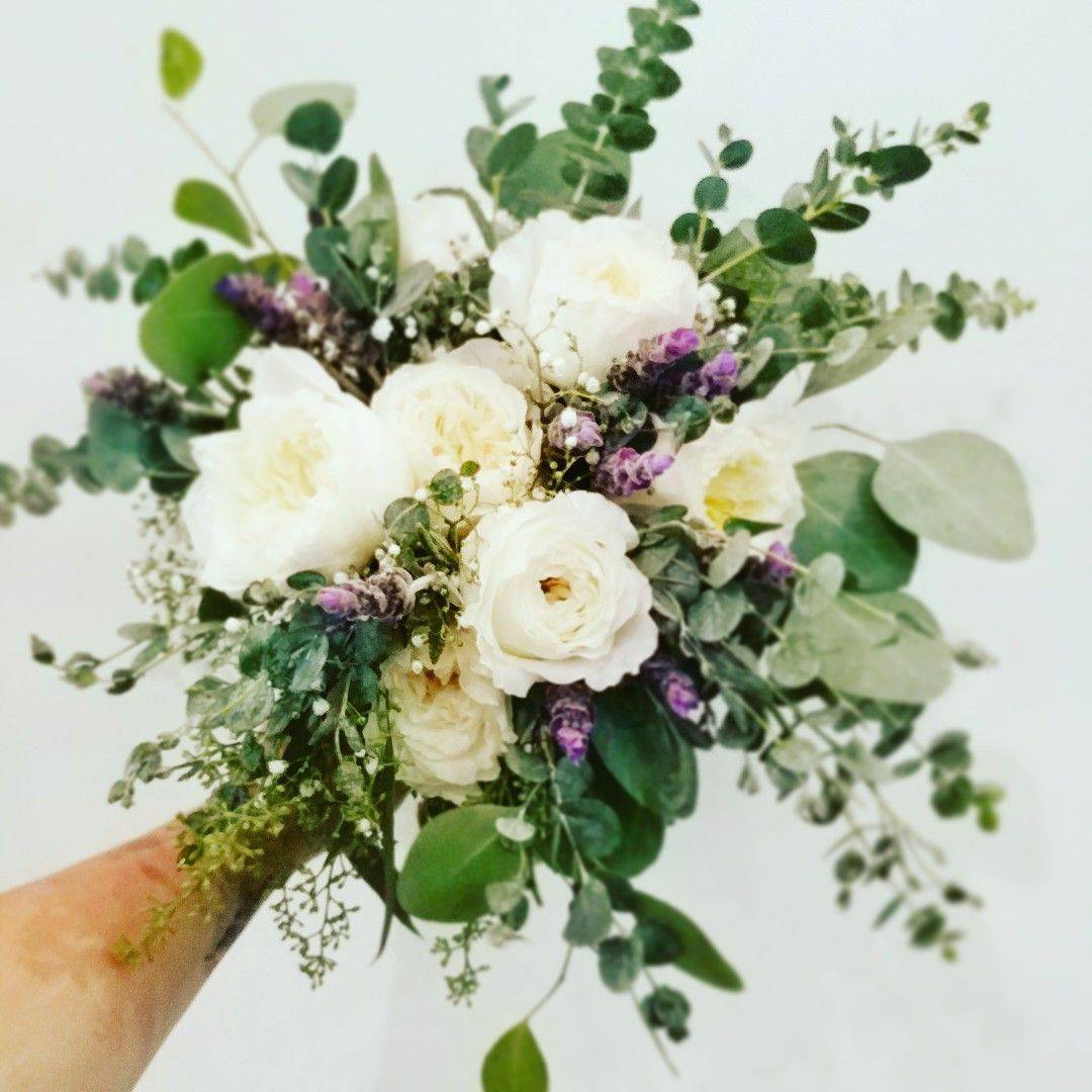 White Patience Garden Roses