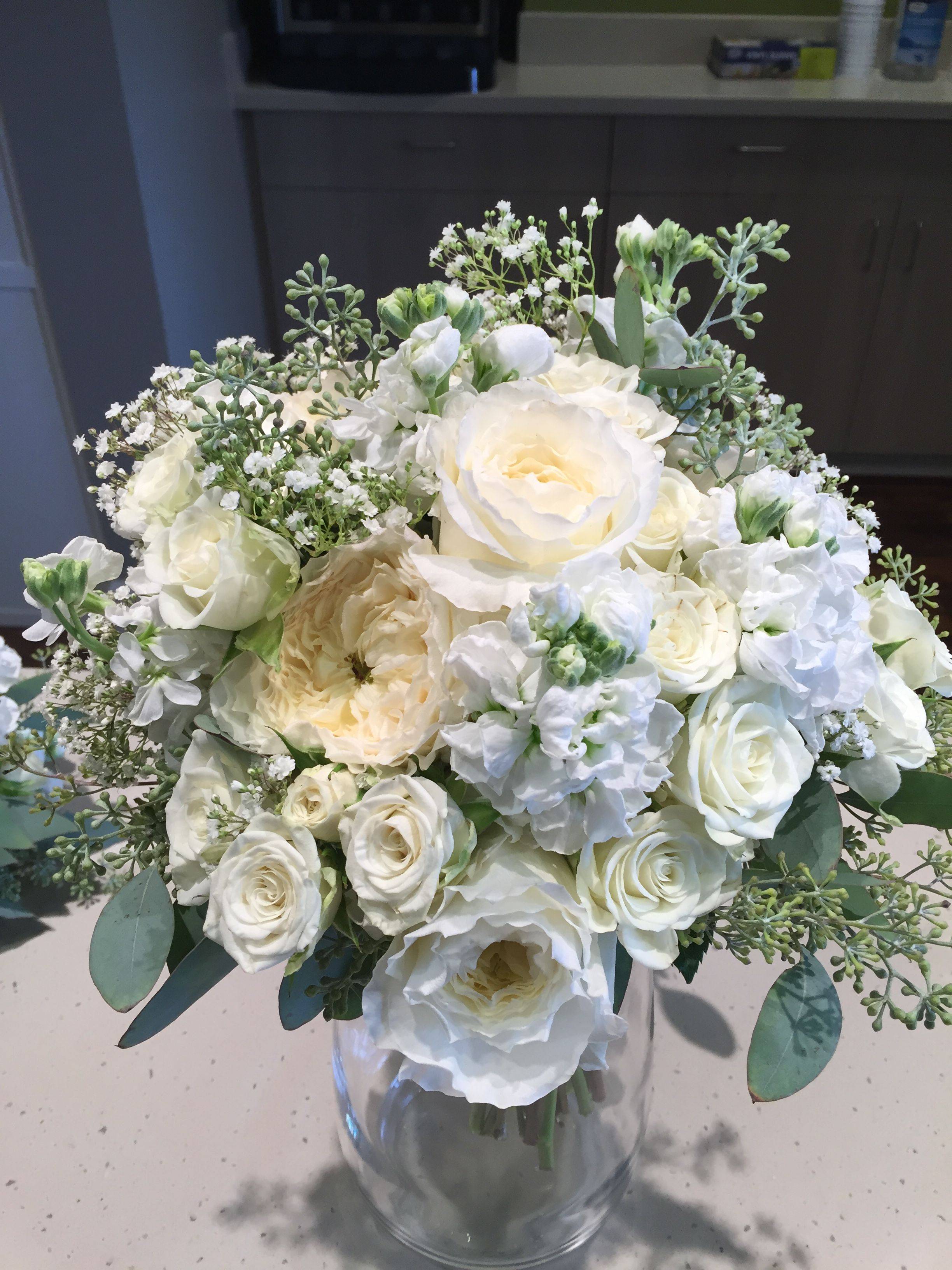 24 Patience Garden Rose Ideas You Gonna Love SharonSable