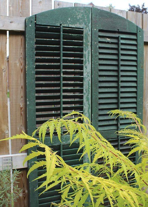 Old Vintage Door Shutters Garden Mirrors