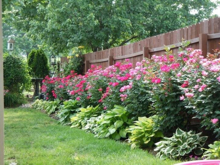 Lovely Small Flower Gardens