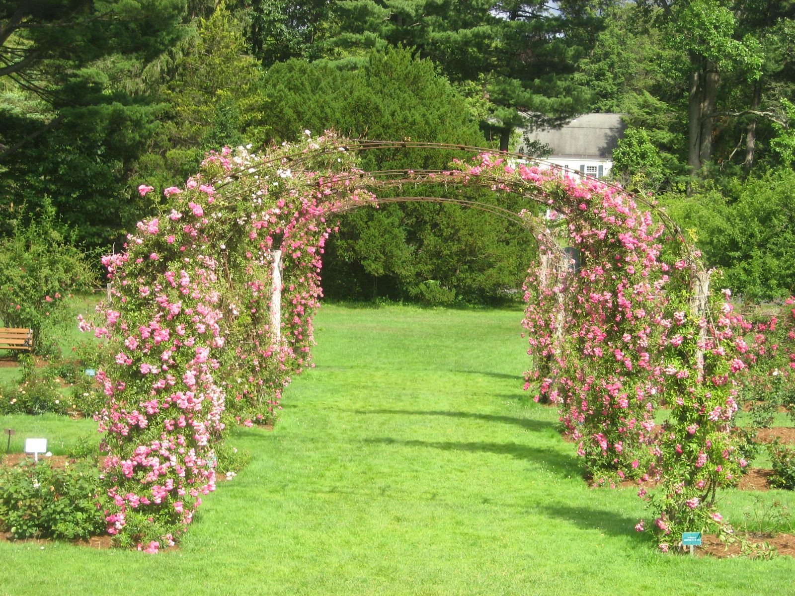 Garden Resources Balboa Park Rose Garden Organic Gardening Tips