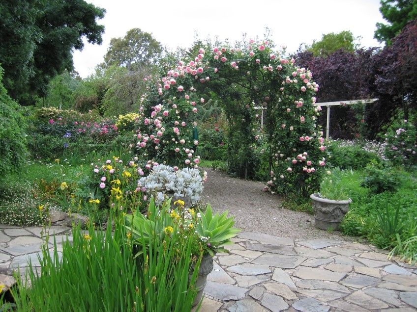 Landscaping Design With Roses Wilson Rose Garden