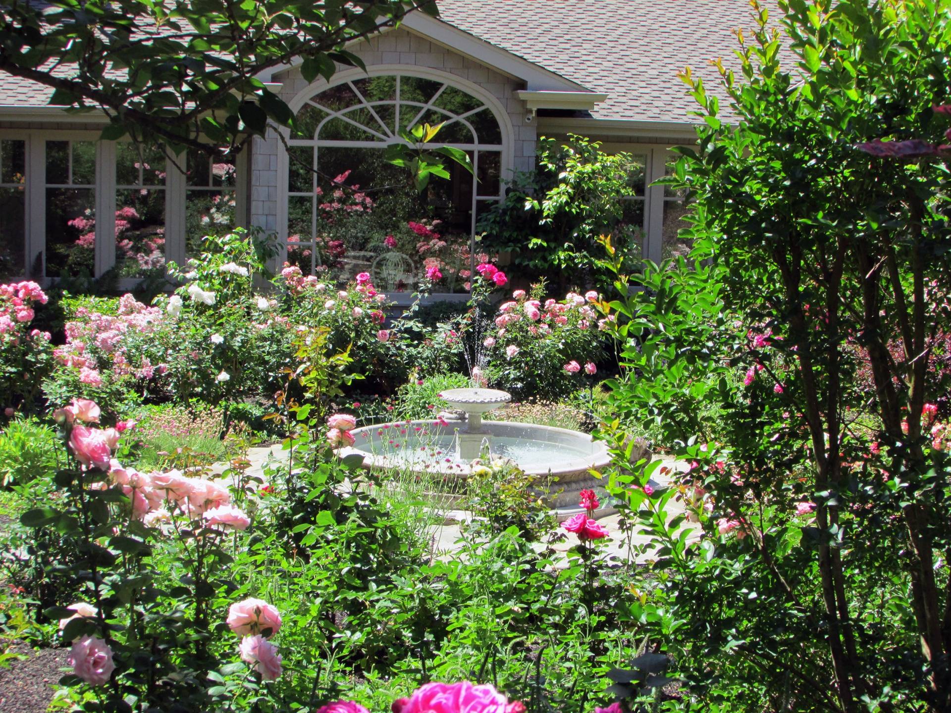 Romantic Rose Garden