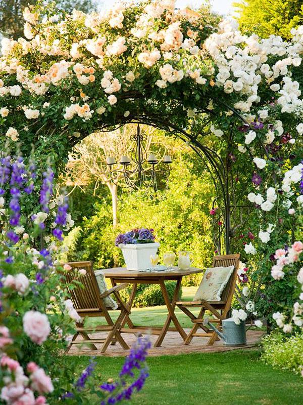 Easy To Grow Rose Bushes Cottage Garden Design