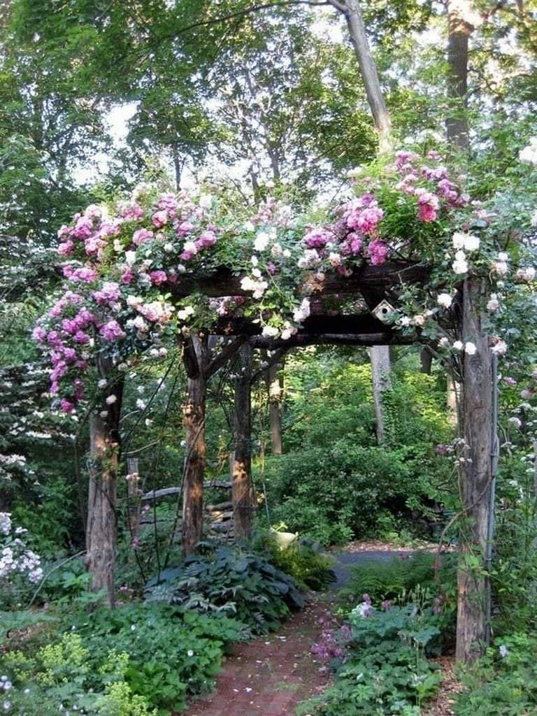 19 Romantic Rose Garden Ideas You Gonna Love SharonSable