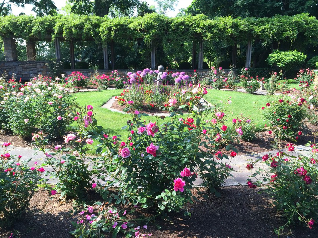 Flower Garden Borders