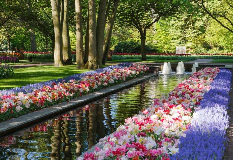 Most Beautiful Rose Gardens