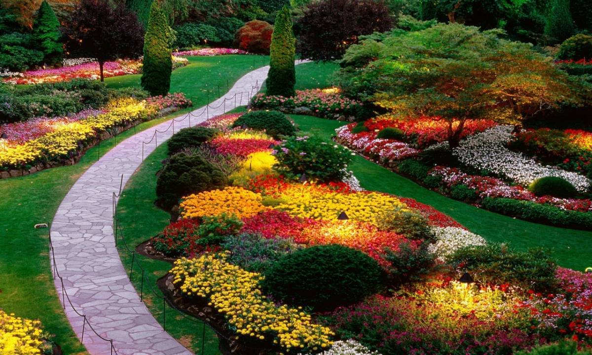 The Most Beautiful Home Gardens