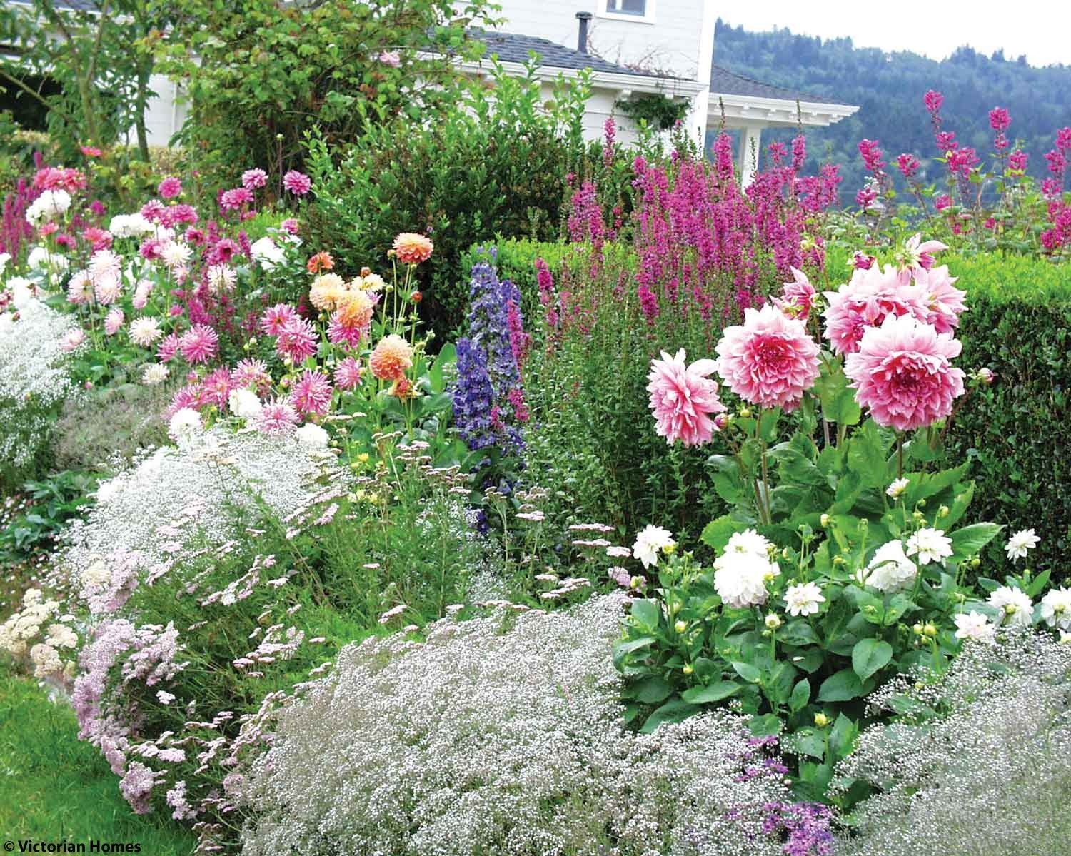 Victorian Garden Design Ludwigs Roses