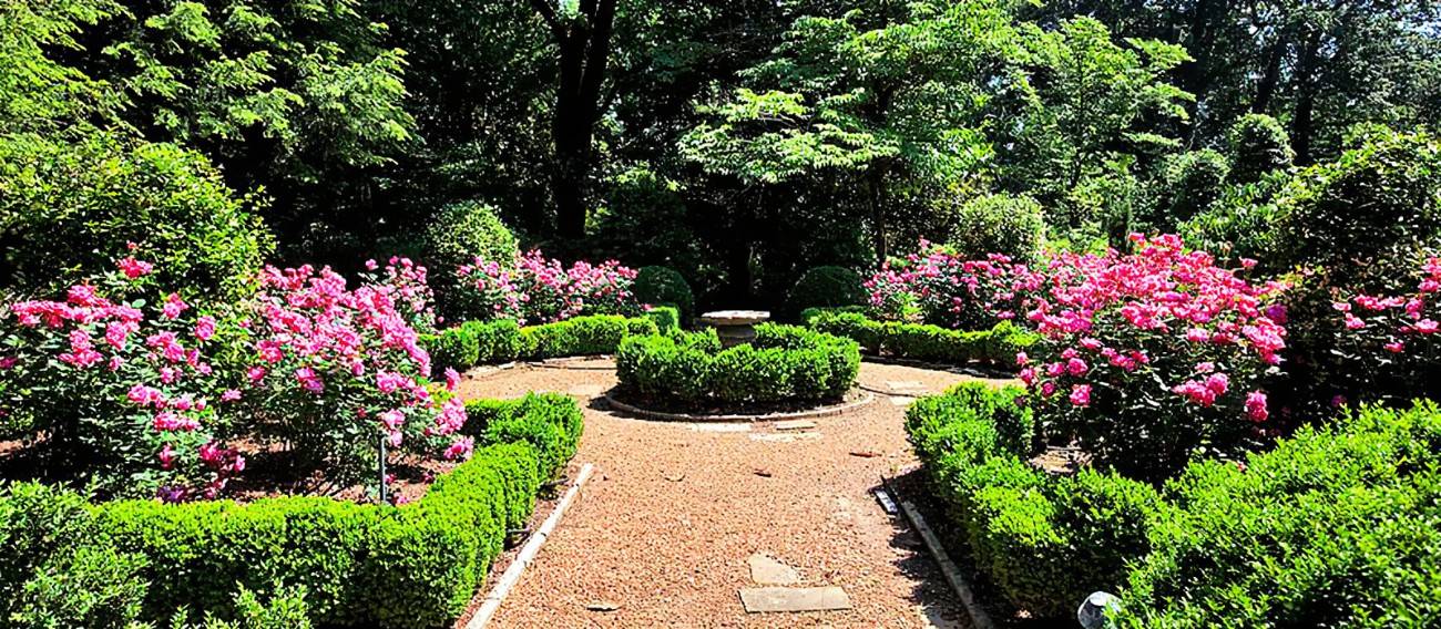 Old English Garden