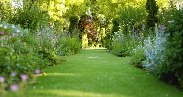Victorian Garden