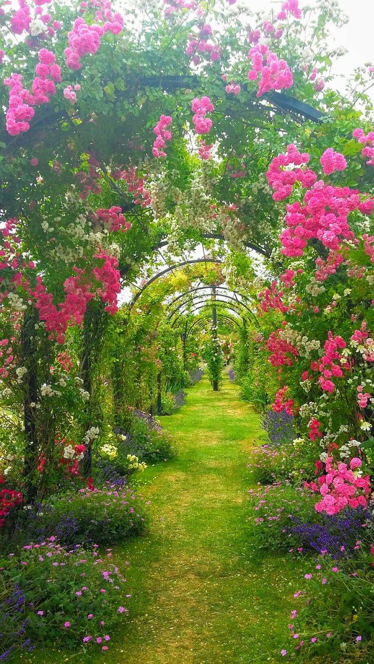Victorian Garden Photos