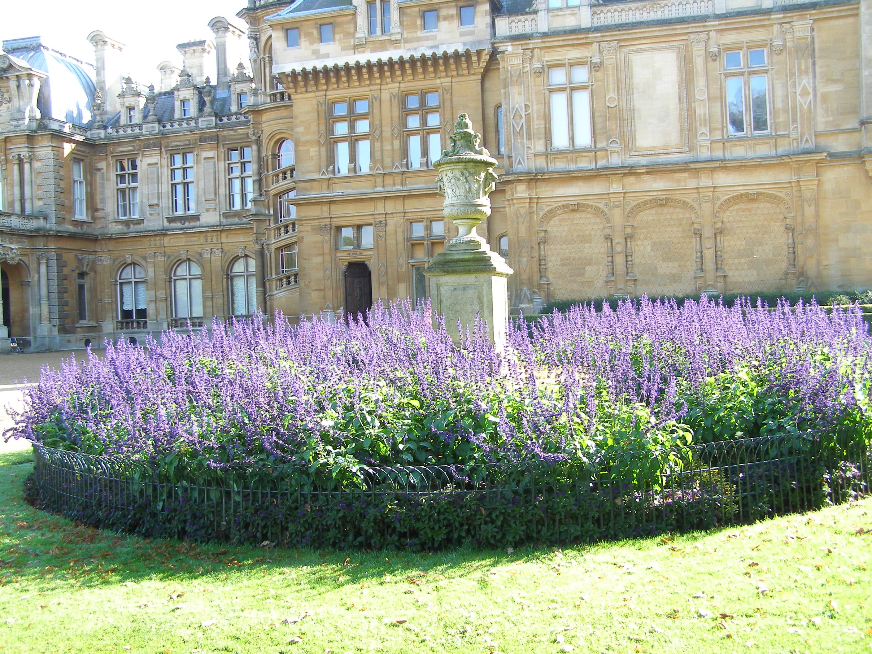 A Victorian Flower Garden