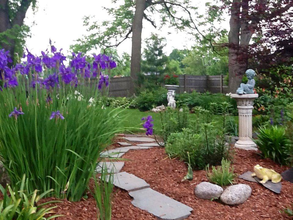 Colorful Flower Beds