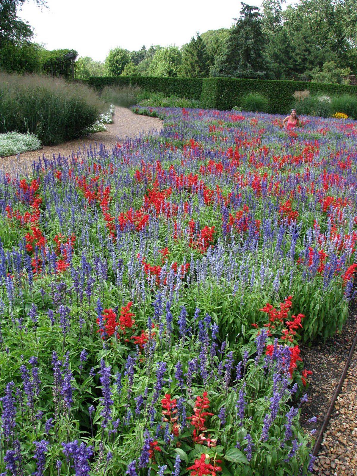 Colorful Flower Beds