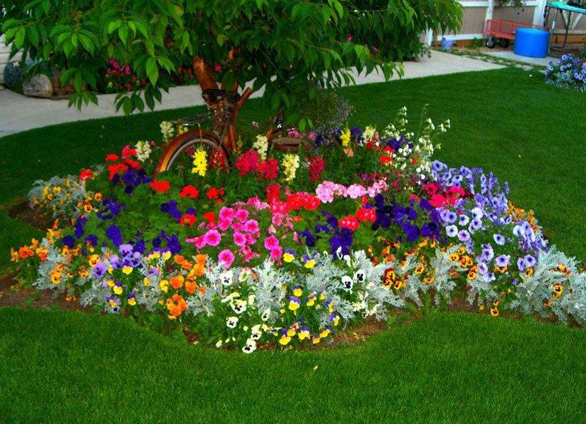 Nigel Slater Auf Flower Garden Design