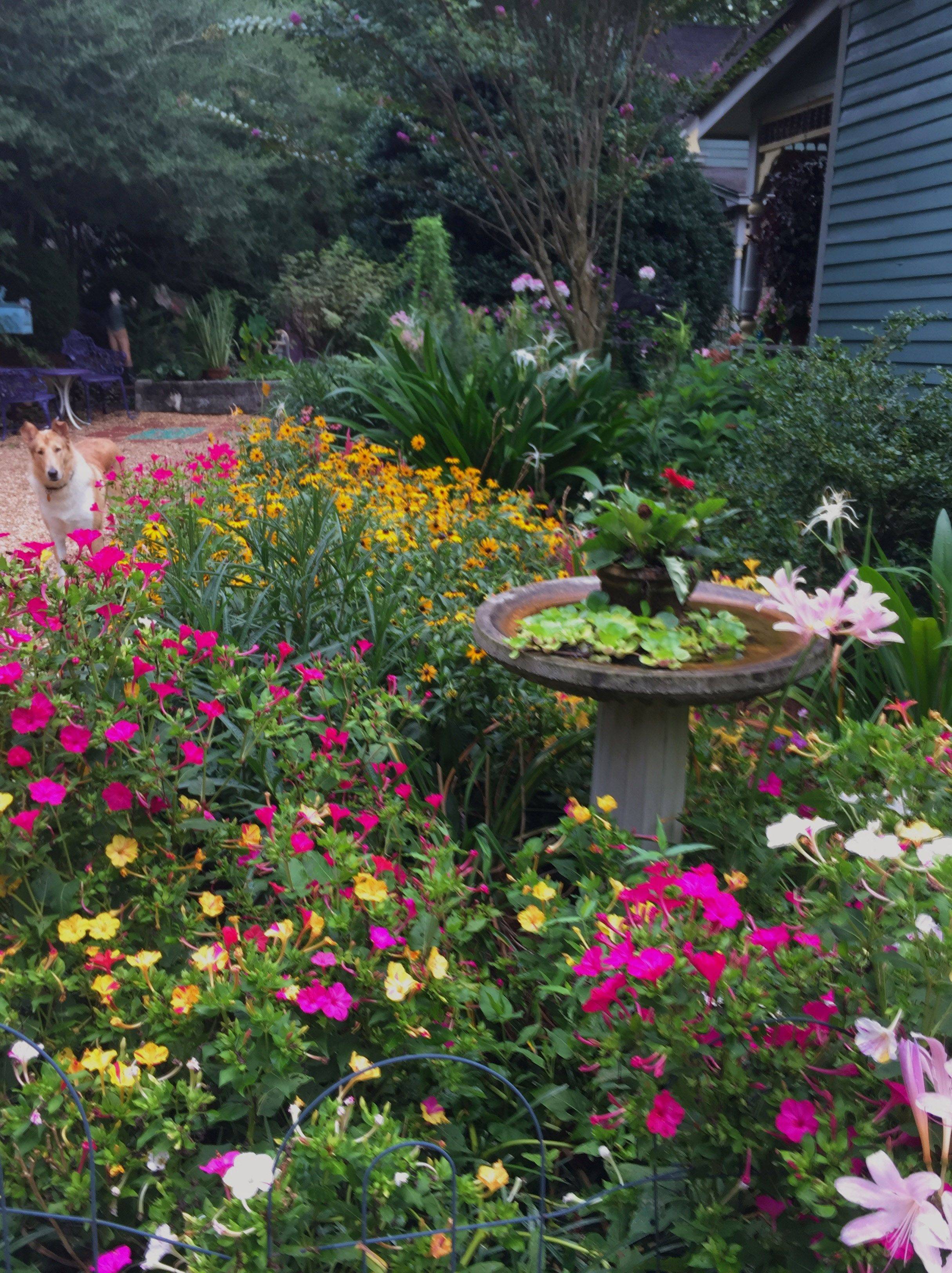 Victorian Garden Design Ludwigs Roses