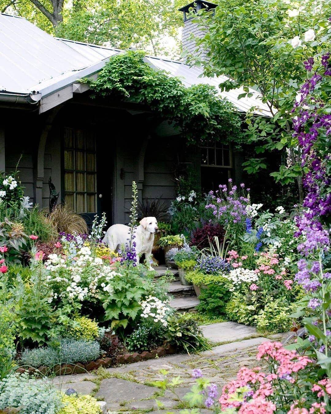 Stunning Front Yard Cottage Garden Inspiration Ideas