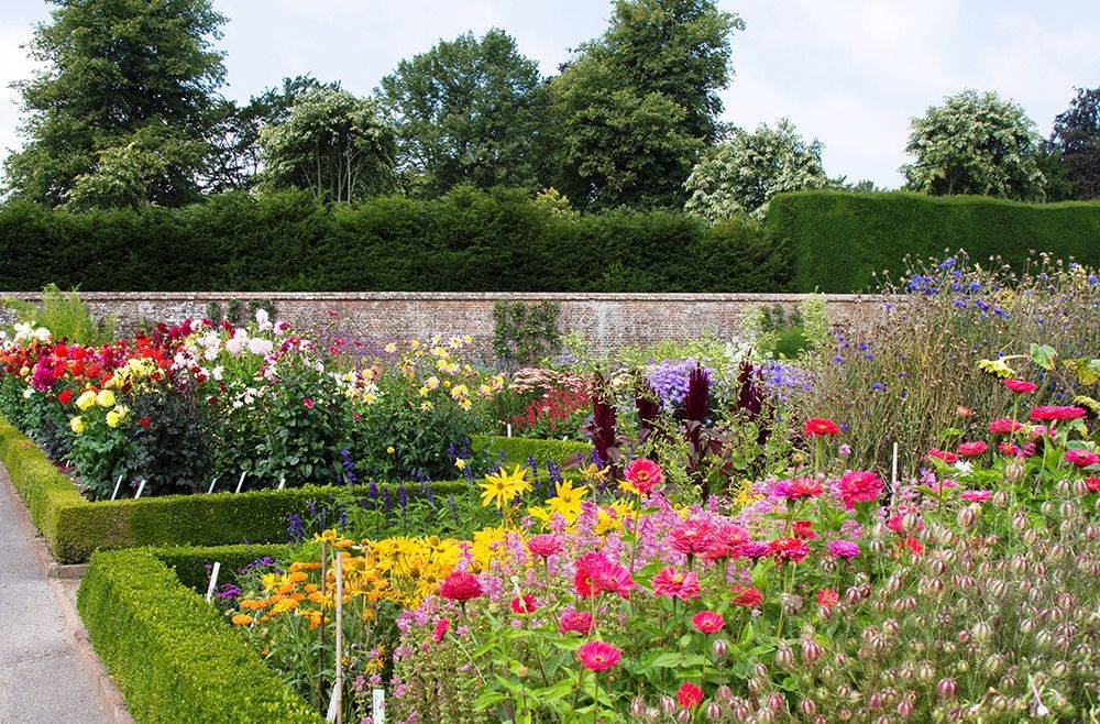 Large Garden Designs Jm Garden Design London