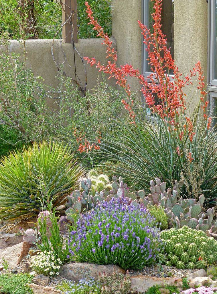 Beautiful Desert Landscaping Ideas