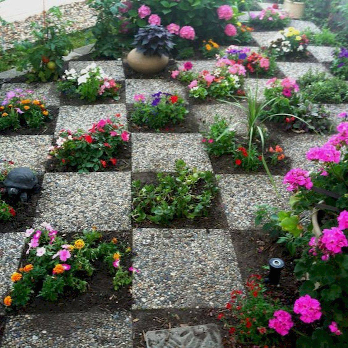 Wild Romantic Desert Landscaping