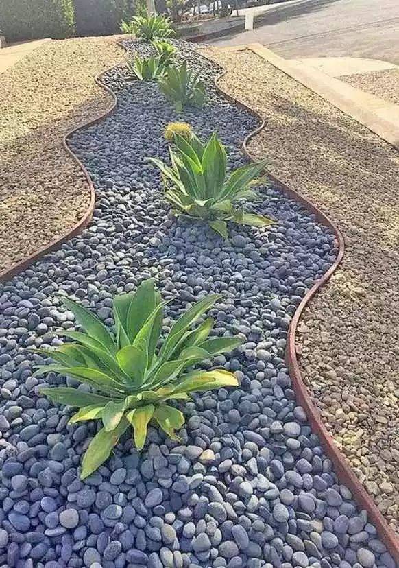 The Front Yard Desert Landscape Design