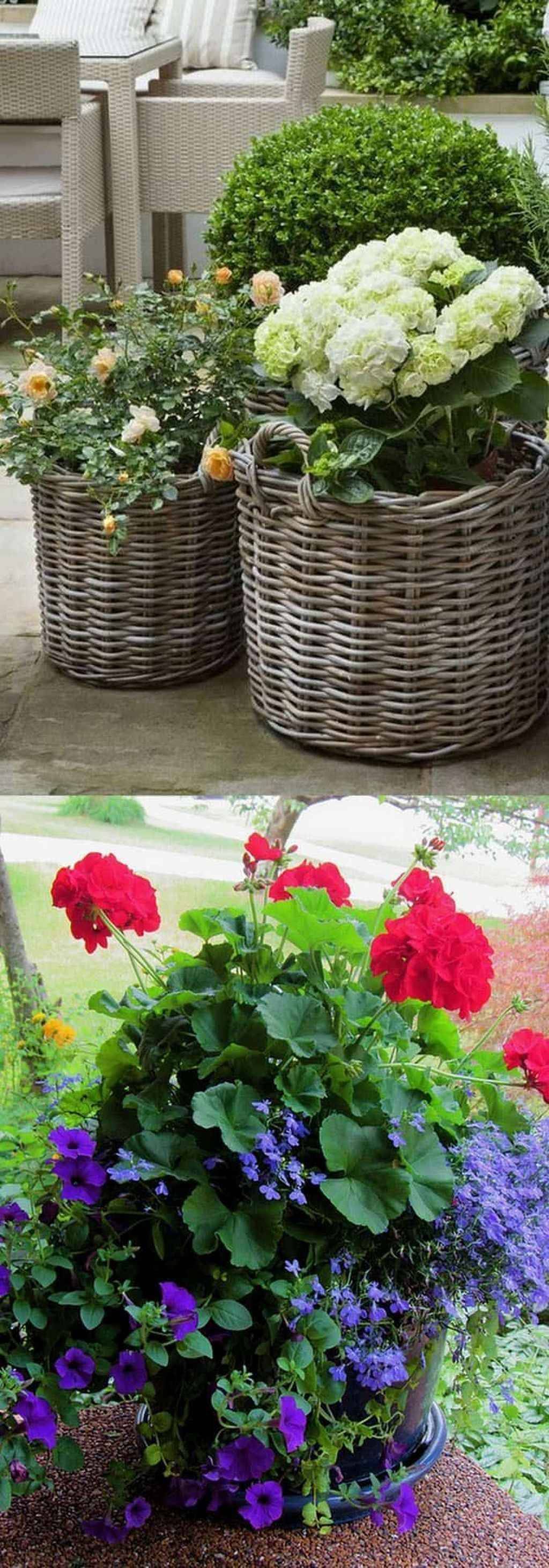 Best Creative Garden Container Ideas