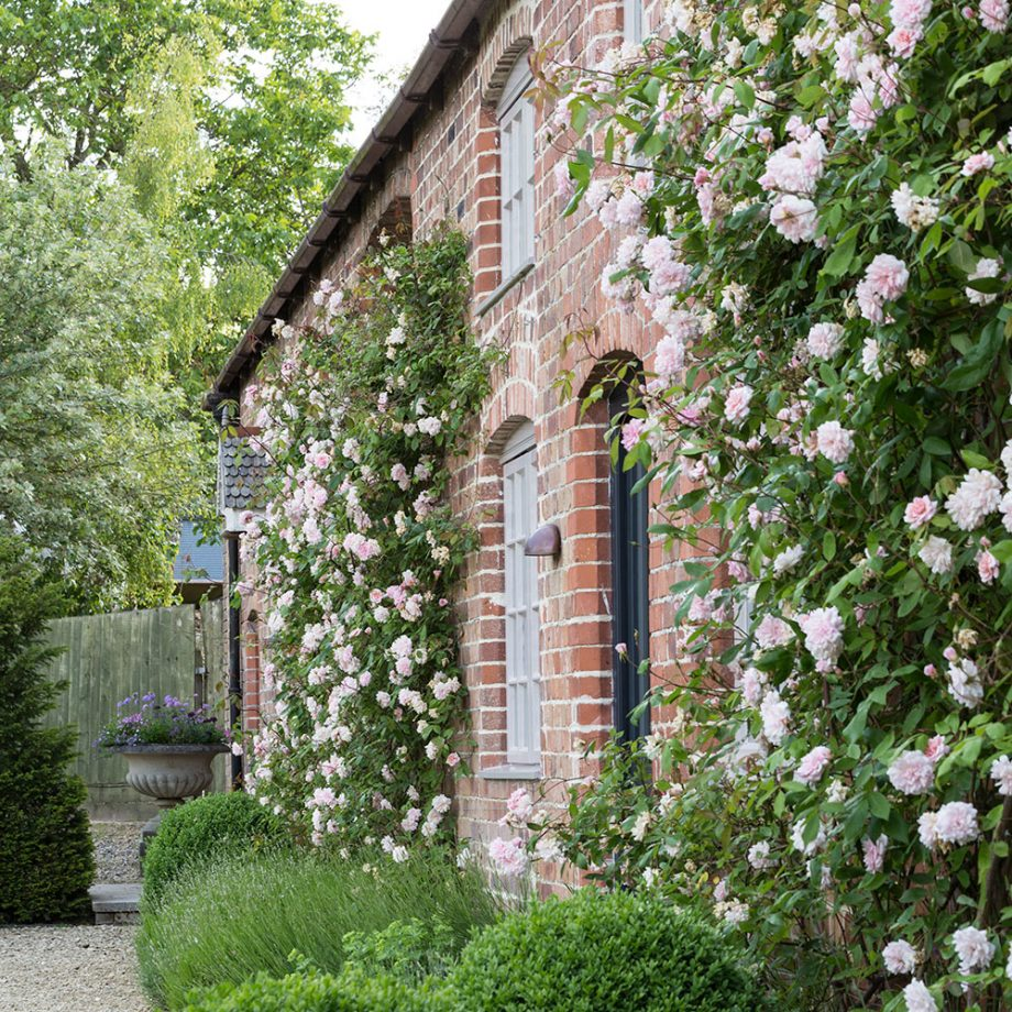 Gorgeous Green And White Garden To Create Calm Atmosphere